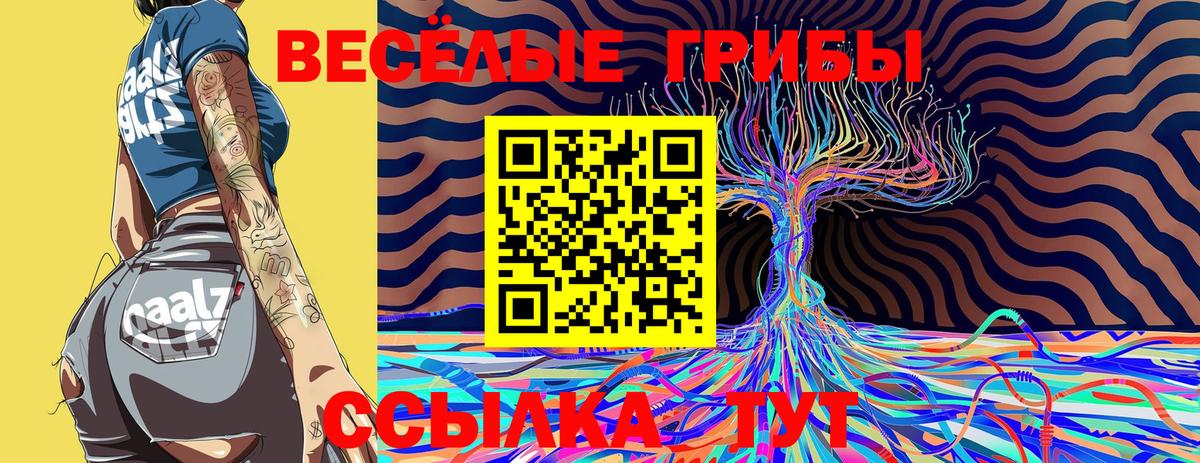 Псилоцибиновые грибы мицелий Алапаевск